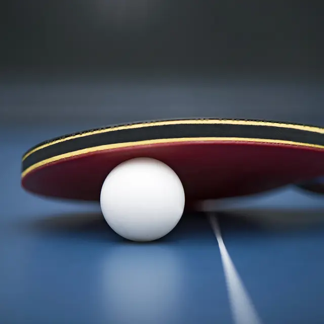 Rencontre de Tennis de table_Salindres