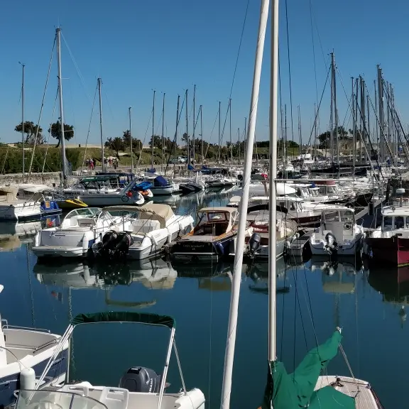 La Marine (1).jpg