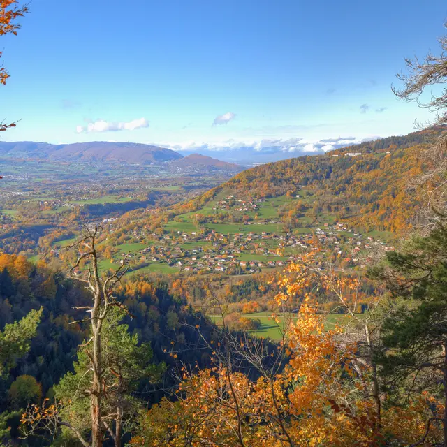 Sentier de randonnée - Les Meulières du Mont Vouan_Viuz-en-Sallaz