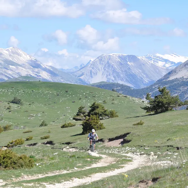 De Maurel au Chalvet