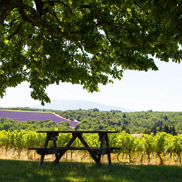Domaine l'Ancienne Ecole