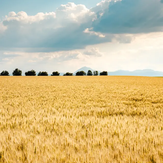 À la découverte de Malintrat_Malintrat