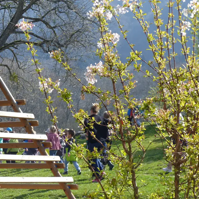 réveil printemps