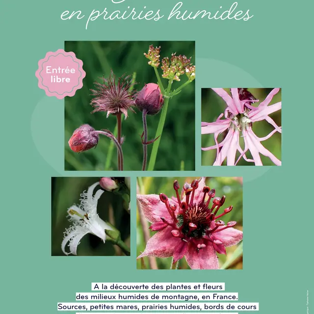 Exposition de photos - De mares en prairies humides -_Villard-de-Lans