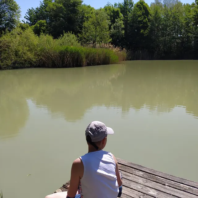 Etang de Colovrex