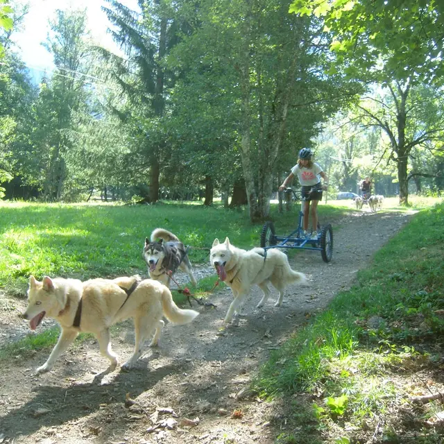 mushing