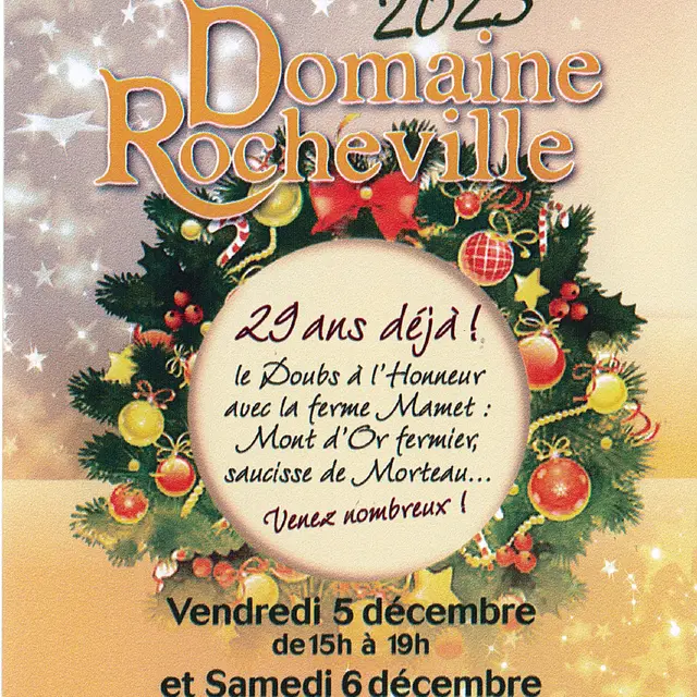 Marché de Noël Gastronomique_Nyons