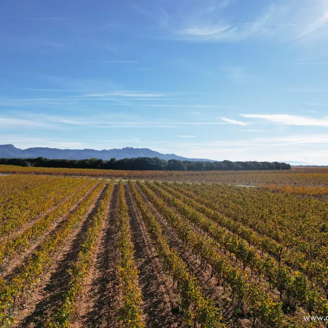 Domaine de la Damase