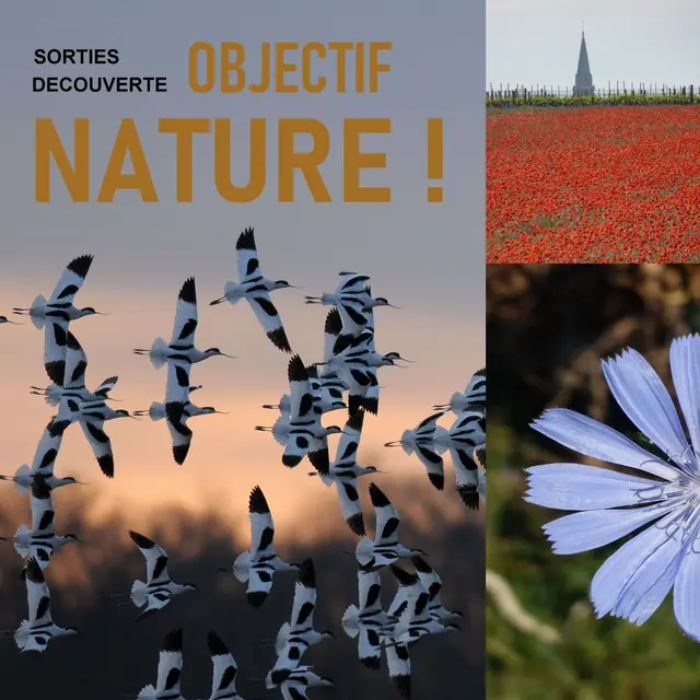Objectif nature