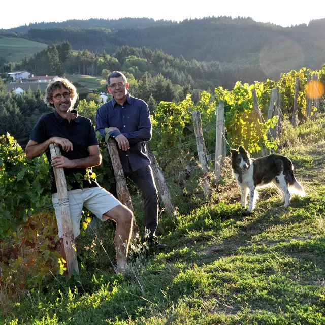 Domaine Vial à Saint-André-d'Apchon