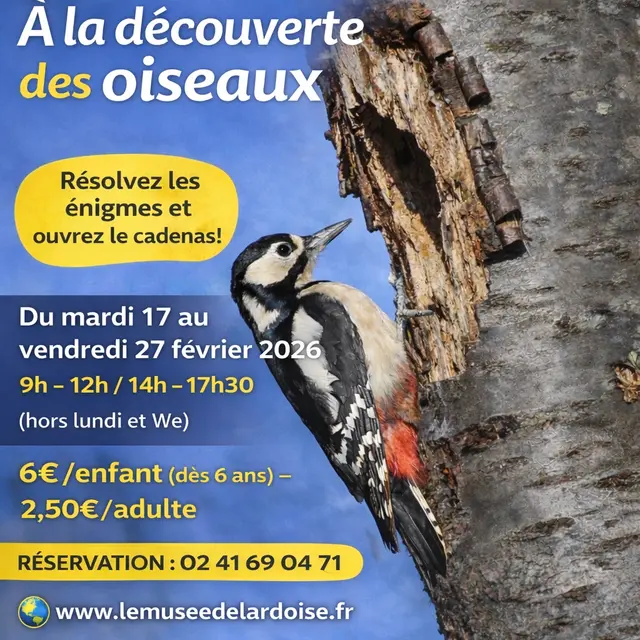 A la découverte des oiseaux