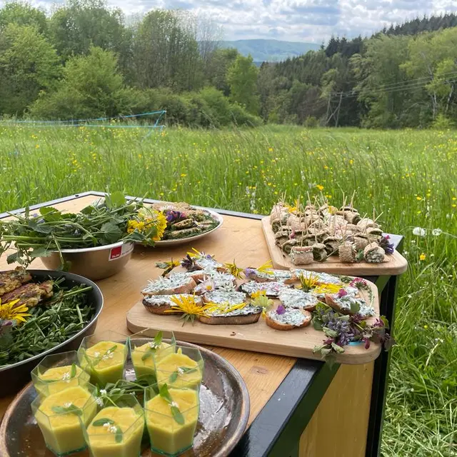 Des recettes en pleine nature