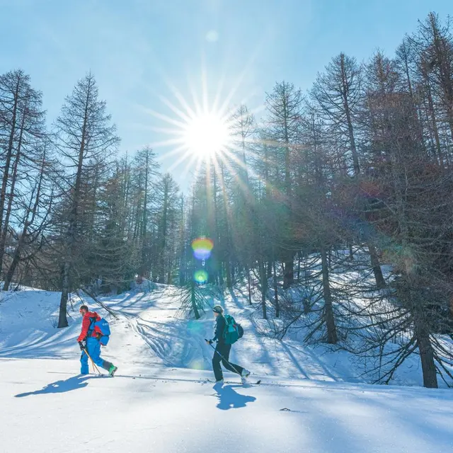 Sortie guidée en groupe avec raquettes_Megève