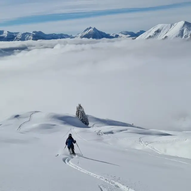 Descente