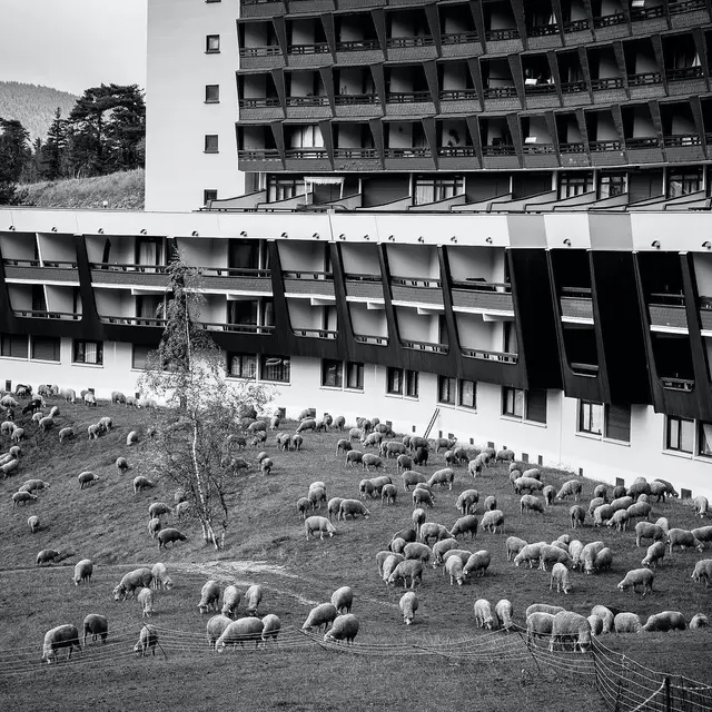 Du mot au geste : écrire en dansant_Villard-de-Lans