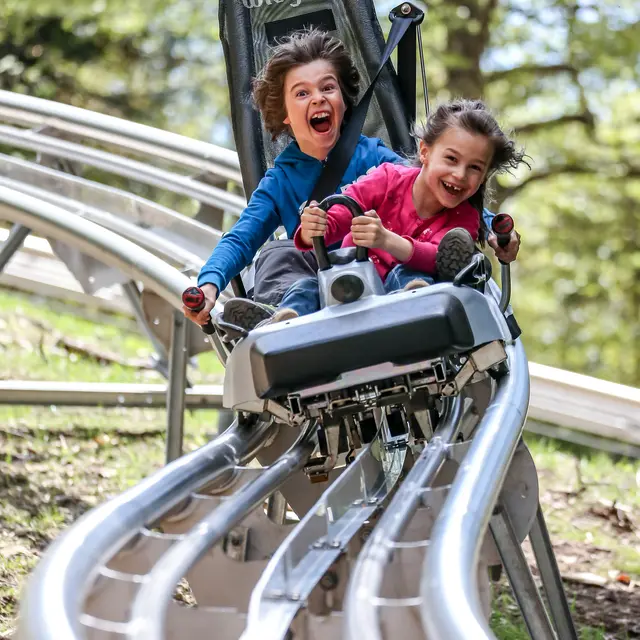 Luge sur rail Les Carroz