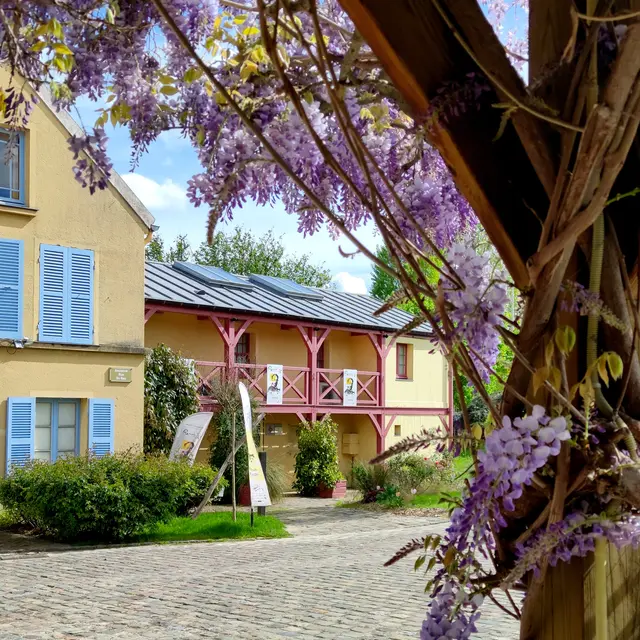 Musée Fournaise