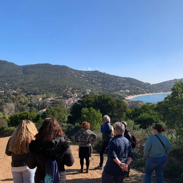 Randonnée pédestre - Les Hauts de Cavalière_Le Lavandou