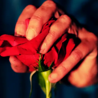 Une lumière dans la nuit_Montjustin