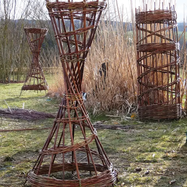 Journées Européennes du Patrimoine - Visite d'un champ d'oseraie_Saint-Bonnet-en-Champsaur
