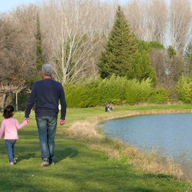Étang du Moulin Neuf à Aubignan