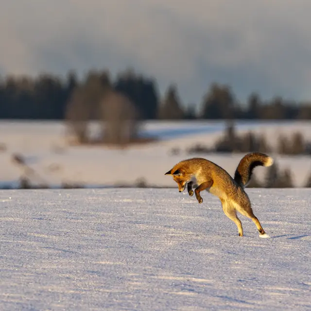 Exposition Éric Poussin photographe voyageur_Seyne