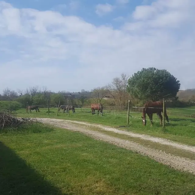 Ecuries de St Vincent