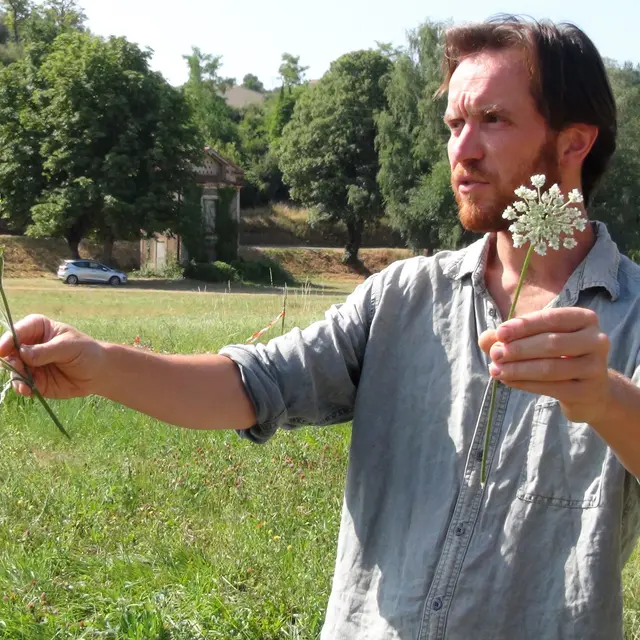 Découverte et dégustation des plantes sauvages estivales_Ambert