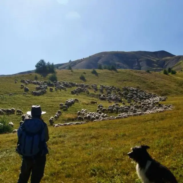 Sur les pas du berger : balade, contes et dégustation_Jausiers