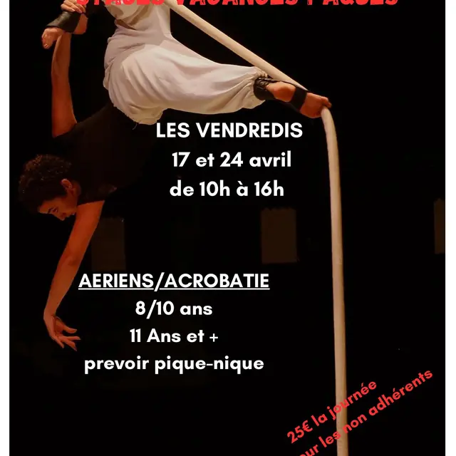 Stage Aérien/ Acrobatie et hip-hop  - Badaboum_Vaison-la-Romaine