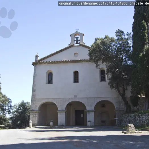 Le Bois communal de St-Ferréol