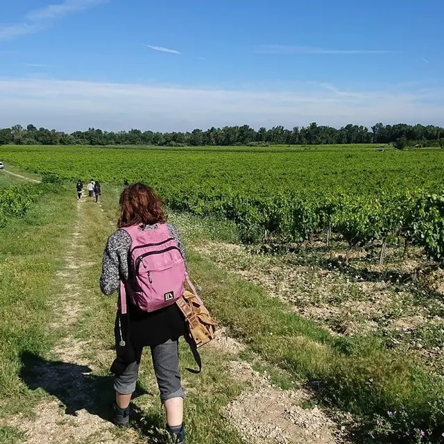 Sentier vigneron Demazet