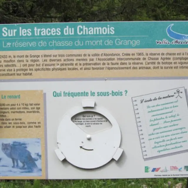 Sur les traces du Chamois
