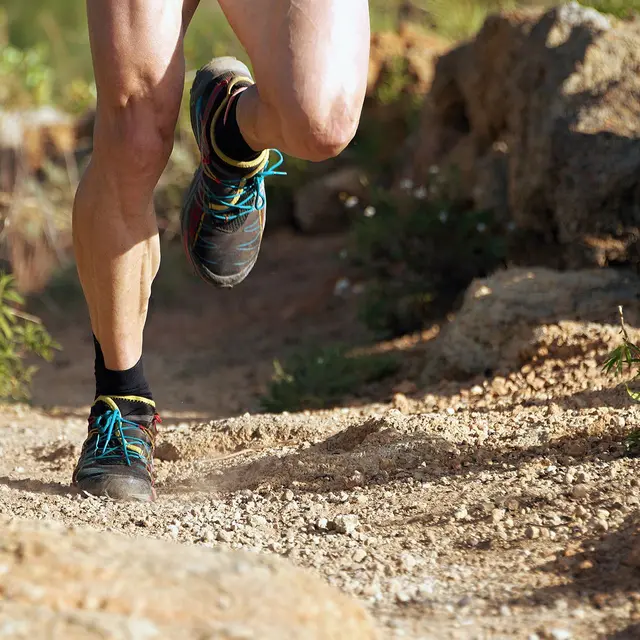 Trail de La Londe les Maures