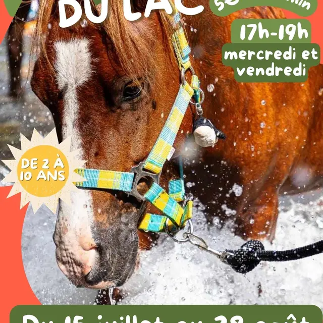 Les Poneys du Lac_Veynes