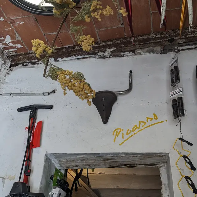 Mimosa Bike Repair