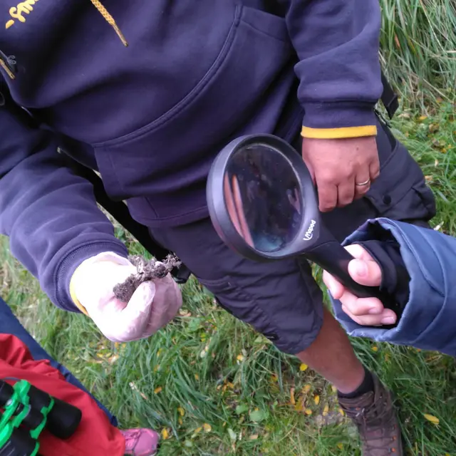 Animation en famille