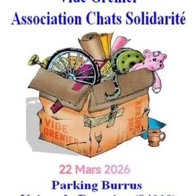 Vide grenier_Vaison-la-Romaine