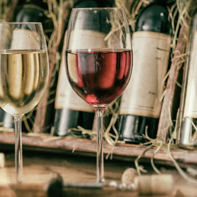 Soirée 3V du Vineum : Apéritif aux Saveurs du Sud-Ouest_Tain-l'Hermitage