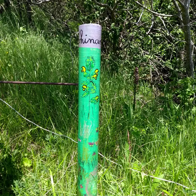 Balisage sentier des Sanas