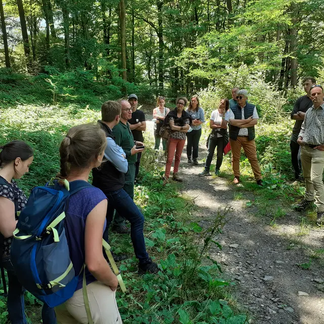 Sortie en forêt_La Clusaz