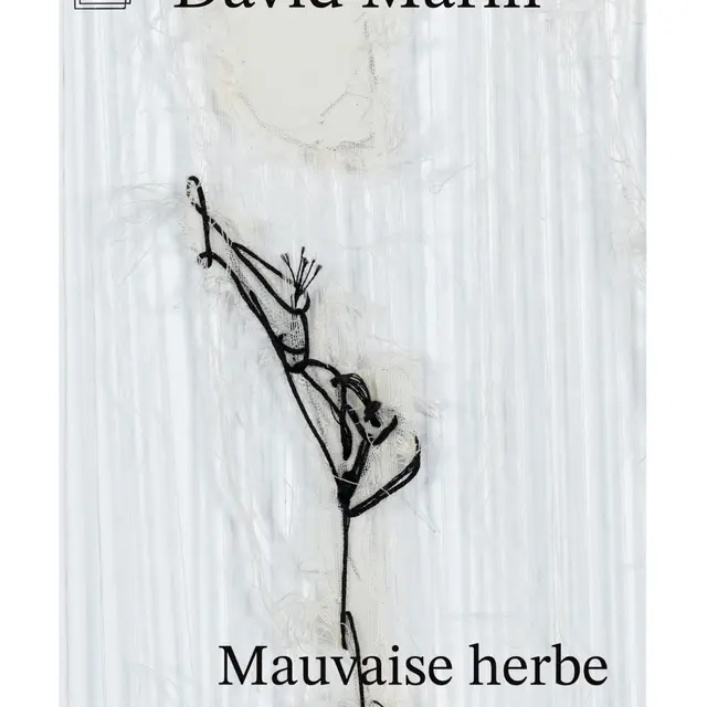 Exposition David Marin_Annecy