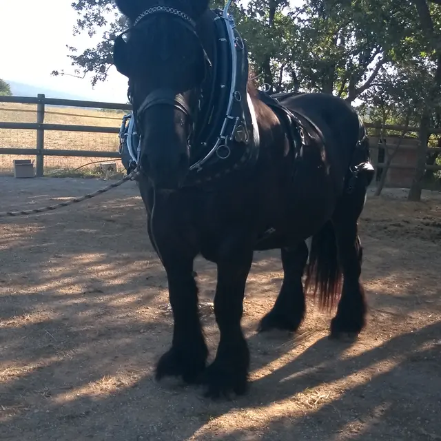 Domaine Chantegrillet