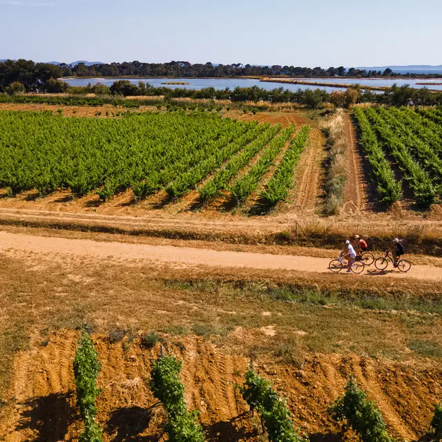 Parcours VTT / Gravel bike à La Londe les Maures