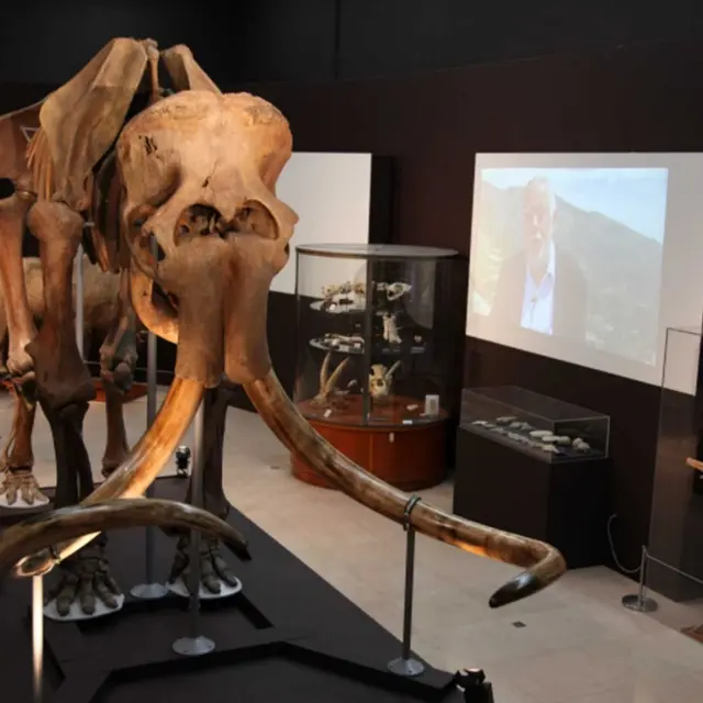 Musée d'Anthropologie Préhistorique - Monaco_Monaco