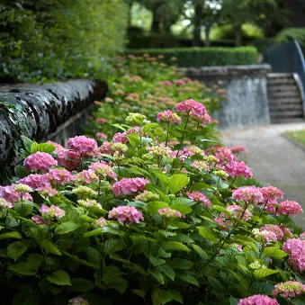 Visite guidée par la conservatrice du musée Le domaine et le jardin d'Ernest Hébert_La Tronche
