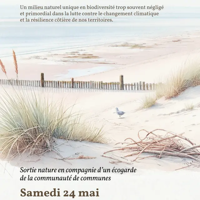 Sortie nature avec les écogardes_La Couarde-sur-Mer