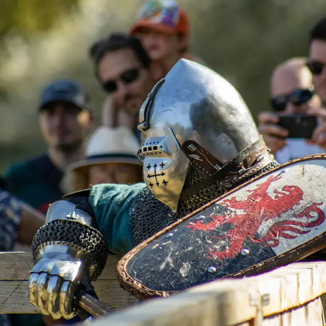Tournoi de l'Ordre de Saint-Michel_Écuillé