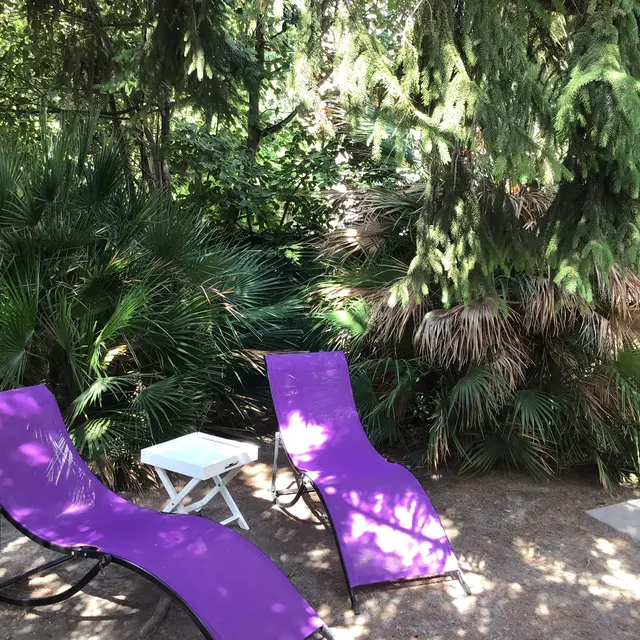 un coin du jardin