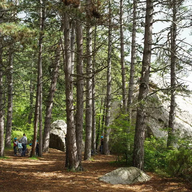 Sentier Patrimonial Forestier de Céüse_Sigoyer